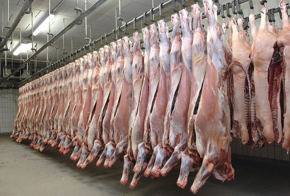 START Beef Processing